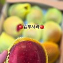 대림청과 - 서대문구 영천시장길 8 | 대림청과