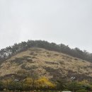 씨사이드(씨싸이드모텔) | 김포씨사이드CC 4월 날씨 및 라운딩 후기, 식사 메뉴