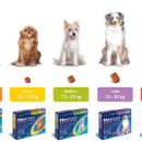 장춘당약국 이미지