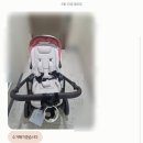 더세탁 | 대구 유모차세탁 전문 온리베이비 유모차 세척 후기