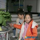 영광초등학교 앞 이미지