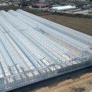 팜스테크 이미지