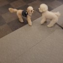 (주)바우라움 이미지
