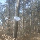 근흥초등학교 이미지