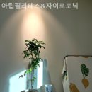 아립