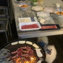 메르시 애견 펜션 이미지