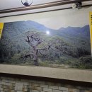 VIP노래연습장 이미지