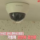 올집시그니처 이미지