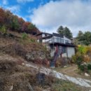 무릉도원면-7 이미지