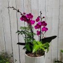 상남동279 이미지