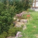 주암민박 이미지