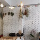 마롱 살롱 이미지