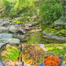 우림가든 | 천안 광덕산 백숙 계곡 식당 우림가든 평상대여 후기