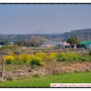 황개천 옆 이미지