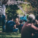 크린광주 이미지