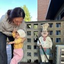 오월의정원 포레스트 이미지