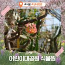 정원자동차정비 | 어린이대공원 식물원 입장료 무료 주차 실내 관람 후기