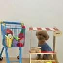 아토맘 수제간식 이미지