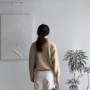 로로 Daum카페
