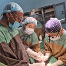 세종충남대학교병원 이미지