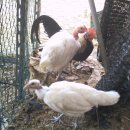 민이맘농장 이미지