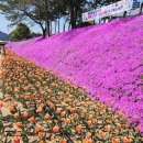 순창군민종합복지회관 | 순창 양지천