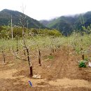 대사로(길안면) 이미지