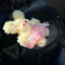 여름에 어울리는 투명 가죽백 | [앤딜로즈 미니 마농백] 20대, 30대 디자이너 브랜드 직장인 백팩 추천! 내돈내산 가방 후기