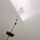 성모자인내과의원 이미지