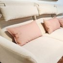 대구경북양돈농협 앞 | 대구 리클라이너 추천, 거실 분위기까지 예쁜 나비 리클라이너소파