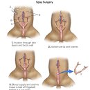 라파엘 동물병원 이미지