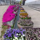 현진2농장 이미지