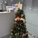 안심리더스요양병원 이미지