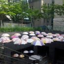 소나무조경