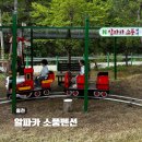 알파카 소풍 펜션 이미지