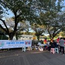 금산-15 노컷뉴스