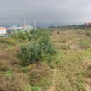 위례성로 이미지