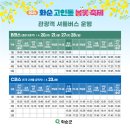 화순 군내버스터미널 이미지