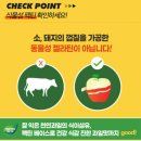 포크구미 | [얼라이브멀티비타구미] 내돈내산 후기 with 슈퍼적립, 포크, 한정판 키링