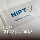 랩지노믹스진단검사의학과의원 | [12주차] 강동고은빛여성병원 니프티(NIPT) 검사 신청 고위험군 노산 임산부 필수일까