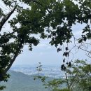 김밥소풍가는날 이미지