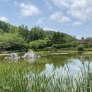 영일만검은돌장어 이미지