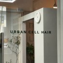 히피펌 클리닉관리 후기 어반셀헤어 신당역 미용실