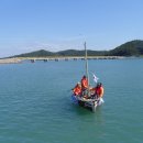 제주진도 이미지