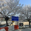 황지교