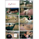 3분의미학 이미지