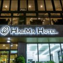 제주 플로라 이미지