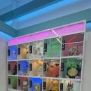 둘리인형뽑기 이미지