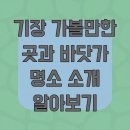 메르씨엘 호텔 | 기장 가볼만한 곳과 바닷가 명소 소개 알아보기
