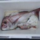 대구대물피싱 이미지